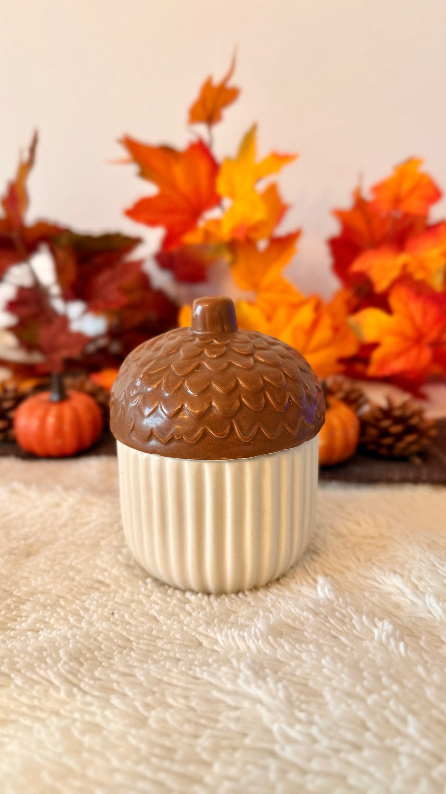 Bruleur fondants Noisette